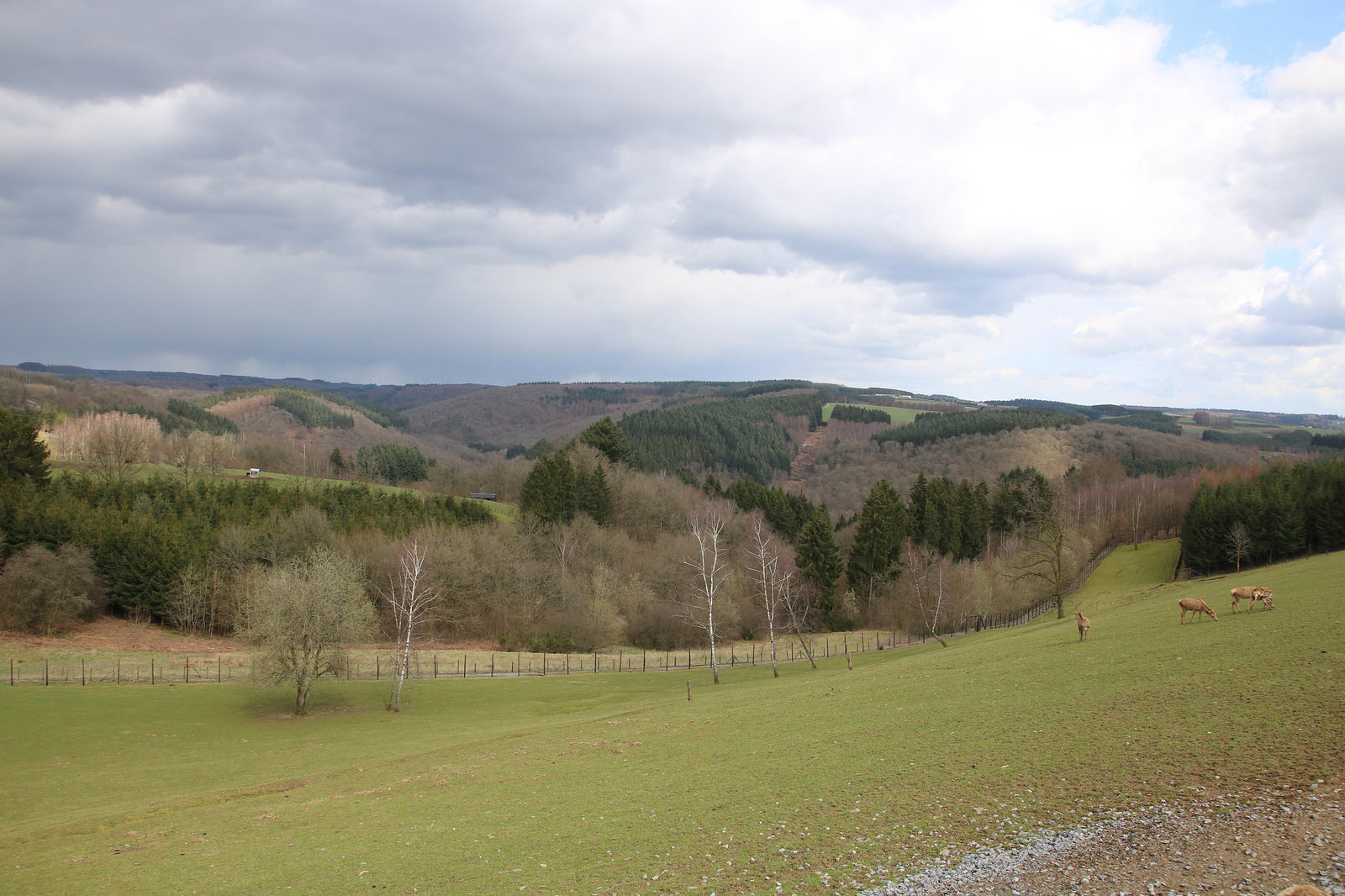Rochehaut